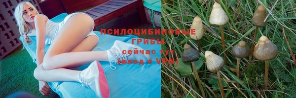 дмт Богородицк